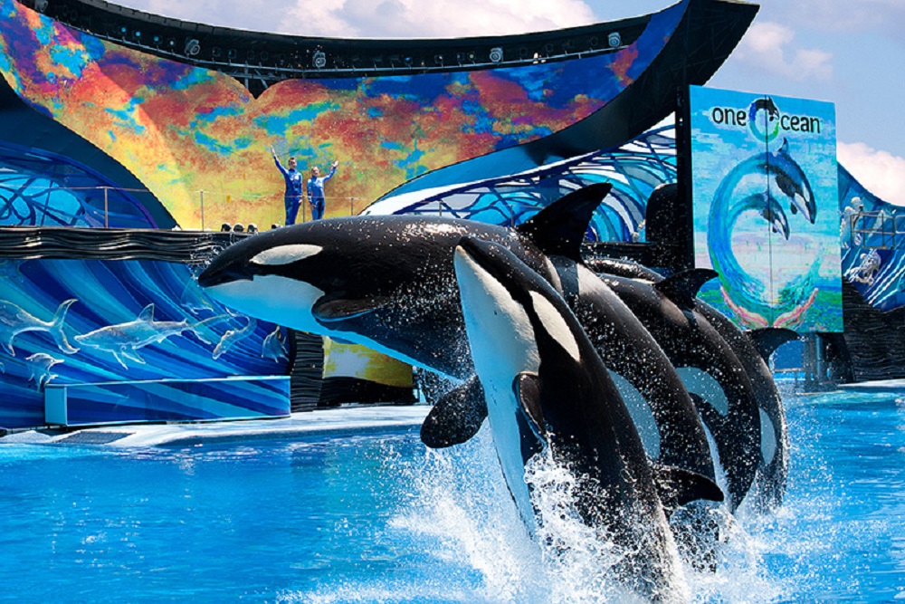 Parque SeaWorld