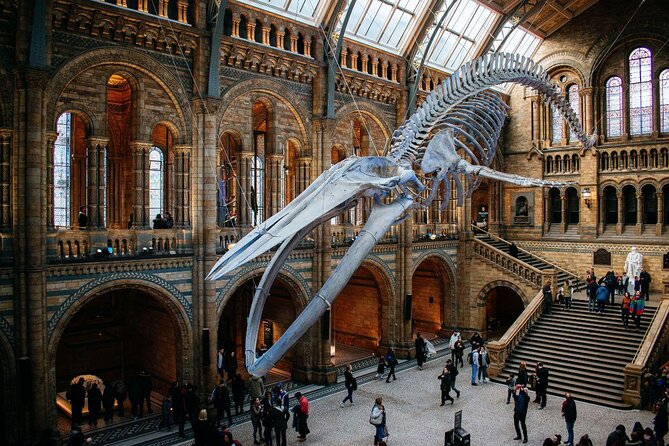 Museu de ciências e história natural de Londres